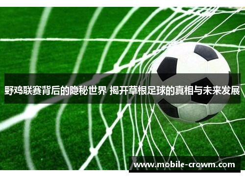 野鸡联赛背后的隐秘世界 揭开草根足球的真相与未来发展